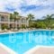 Edelweiss Hotel_best prices_in_Hotel_Ionian Islands_Zakinthos_Zakinthos Chora