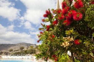 Hotel Ziakis_best prices_in_Hotel_Dodekanessos Islands_Rhodes_Pefki