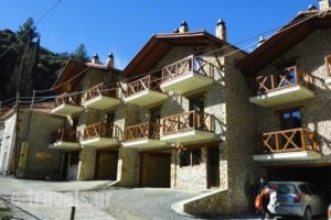 Suites Zachlorou_lowest prices_in_Hotel_Peloponesse_Achaia_Kalavryta