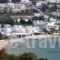 Hotel Livadia_best deals_Hotel_Cyclades Islands_Paros_Paros Chora