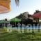 Pardalakis Studios_best deals_Hotel_Crete_Chania_Kolympari