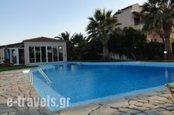 Pardalakis Studios_s __1
