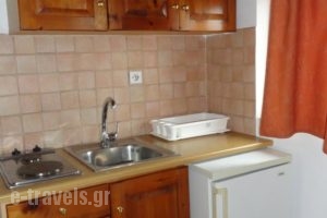 Pardalakis Studios_lowest prices_in_Hotel_Crete_Chania_Kolympari