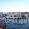 Sunfos Alessia Yachting_best prices_in_Yacht_Cyclades Islands_Mykonos_Mykonos ora