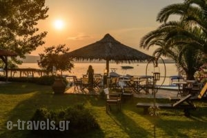 Christaras Apartments_best deals_Apartment_Macedonia_Halkidiki_Vourvourou