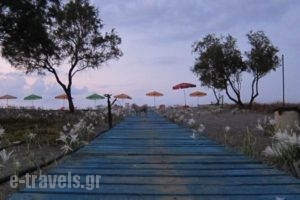 Baladinos Apartments_holidays_in_Apartment_Crete_Chania_Tavronit's