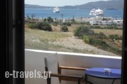 Kapetan Giannis_s __1