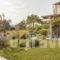 Ammouda Villas_best prices_in_Villa_Macedonia_Halkidiki_Chalkidiki Area