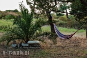 Kortiri Studios_best deals_Hotel_Macedonia_Halkidiki_Chalkidiki Area