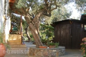 Kortiri Studios_best prices_in_Hotel_Macedonia_Halkidiki_Chalkidiki Area