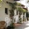 Kortiri Studios_holidays_in_Hotel_Macedonia_Halkidiki_Chalkidiki Area