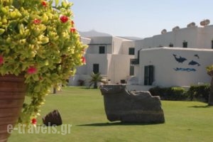 Holiday Sun Hotel_best prices_in_Hotel_Cyclades Islands_Antiparos_Antiparos Rest Areas