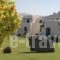 Holiday Sun Hotel_best prices_in_Hotel_Cyclades Islands_Antiparos_Antiparos Rest Areas