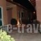 Camping Village Episkopi_best deals_Hotel_Ionian Islands_Lefkada_Vasiliki