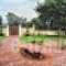 Guesthouse Michobeis_lowest prices_in_Hotel_Ionian Islands_Zakinthos_Zakinthos Rest Areas