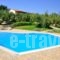 Villas Lefkothea_travel_packages_in_Crete_Rethymnon_Plakias