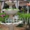 Kuris Apartments_lowest prices_in_Apartment_Ionian Islands_Zakinthos_Zakinthos Chora