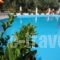Hotel Sylvia_best prices_in_Hotel_Aegean Islands_Thasos_Thasos Chora