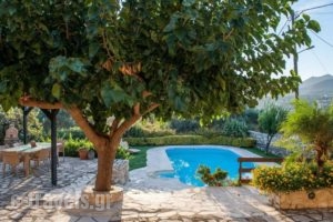 Villa Faye_holidays_in_Villa_Crete_Chania_Vryses Apokoronas