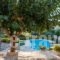Villa Faye_holidays_in_Villa_Crete_Chania_Vryses Apokoronas