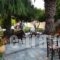 Sun Accommodation_best deals_Hotel_Sporades Islands_Skopelos_Skopelos Chora