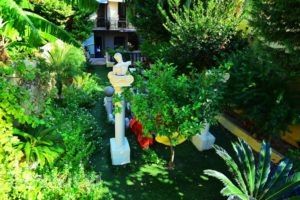 Olympos Pension_holidays_in_Hotel_Dodekanessos Islands_Rhodes_Rhodesora