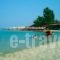 Sivilla_lowest prices_in_Villa_Macedonia_Halkidiki_Kassandreia