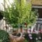 Valentini Guesthouse_holidays_in_Hotel_Central Greece_Evritania_Karpenisi