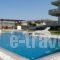 Villa Artemis_holidays_in_Villa_Dodekanessos Islands_Rhodes_Faliraki