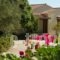 Villas Lefkothea_holidays_in_Villa_Crete_Rethymnon_Plakias