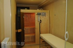 Hotel Grand Chalet_best prices_in_Hotel_Macedonia_Drama_Kato Nevrokopi