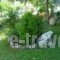 Studios Zoi_lowest prices_in_Hotel_Central Greece_Evia_Edipsos
