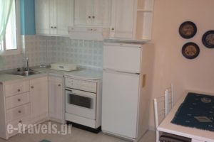 Castro Apartments_lowest prices_in_Apartment_Peloponesse_Arcadia_Astros