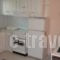 Castro Apartments_lowest prices_in_Apartment_Peloponesse_Arcadia_Astros