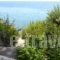 Glyfa Corfu Apartments_best deals_Apartment_Ionian Islands_Corfu_Corfu Rest Areas