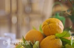 Villa Orange Tree_s __6