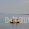 Apollon Hotel_holidays_in_Hotel_Peloponesse_Argolida_Archea (Palea) Epidavros