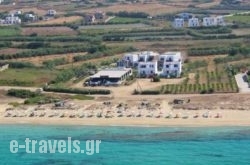 Aronis in Naxos Chora, Naxos, Cyclades Islands