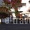 Irini Apartments_accommodation_in_Apartment_Crete_Chania_Platanias