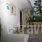 Asterion Apartments_travel_packages_in_Crete_Rethymnon_Mylopotamos