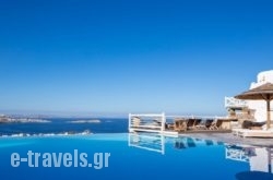 Vencia Boutique Hotel_s __1
