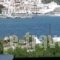 Studios Elpiniki_holidays_in_Hotel_Sporades Islands_Skopelos_Skopelos Chora