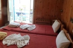 Hotel Dolphin_s __1