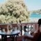 Elena Apartments_holidays_in_Apartment_Crete_Chania_Almyrida