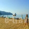 Alexandros Apartments_holidays_in_Room_Ionian Islands_Corfu_Agios Gordios