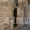 Vouno Village Apartments_holidays_in_Apartment_Aegean Islands_Chios_Chios Chora