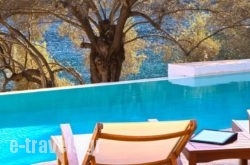 Villa Amoudia_s __1
