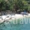 Villa Carina_best prices_in_Villa_Ionian Islands_Kefalonia_Kefalonia'st Areas