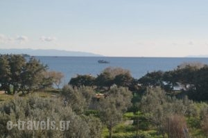 Mina'S Studios In Naxos Island_holidays_in_Hotel_Cyclades Islands_Naxos_Agia Anna