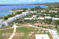 Club Ermioni_s __1